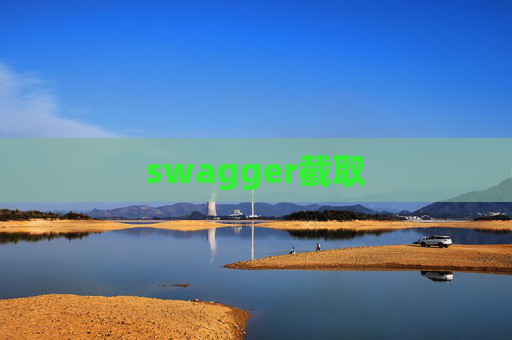 swagger截取